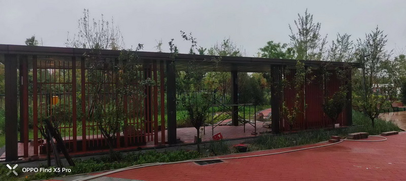 �����ȼ�